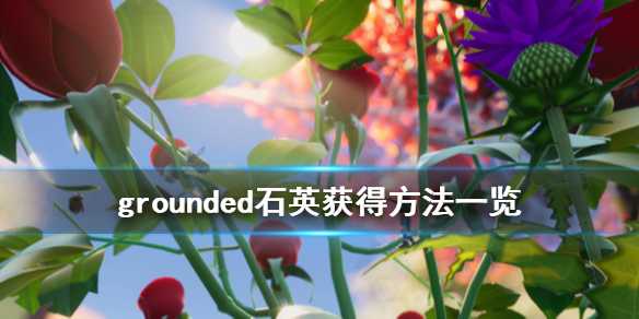 禁闭求生石英岩在哪里 grounded石英获得方法分享(禁闭求生石英岩在哪里采集 石英岩获取位置)