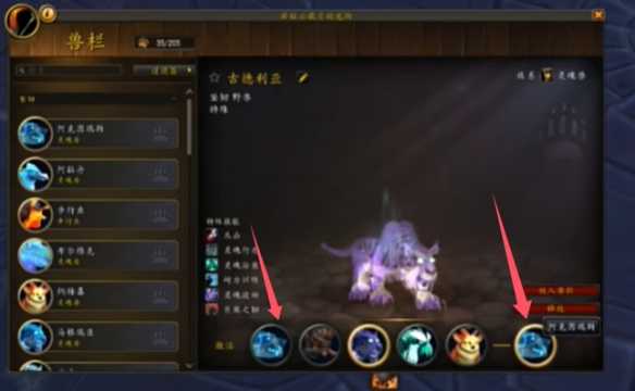 魔兽世界兽王猎出战相同的宝宝方法介绍(魔兽世界9.0兽王猎wa)