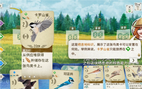 展翅翱翔测评:破开圈层体会平时关注不到的乐趣 展翅翱翔1