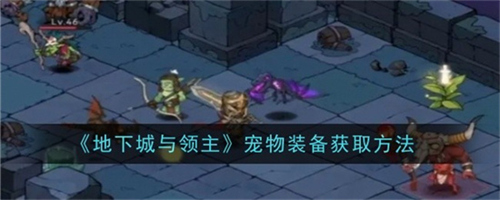 地下城与领主宠物装备怎么获取 地下城与领主宠物装备获取指南攻略(地下城与领主宠物装备在哪获得)